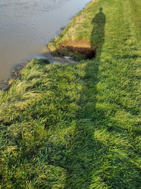 Photos of breach  - supporting image