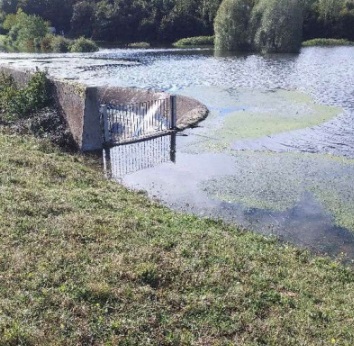 Photos showing overflow level of spillway and sinkhole on upstream bank after water drawn down - supporting image